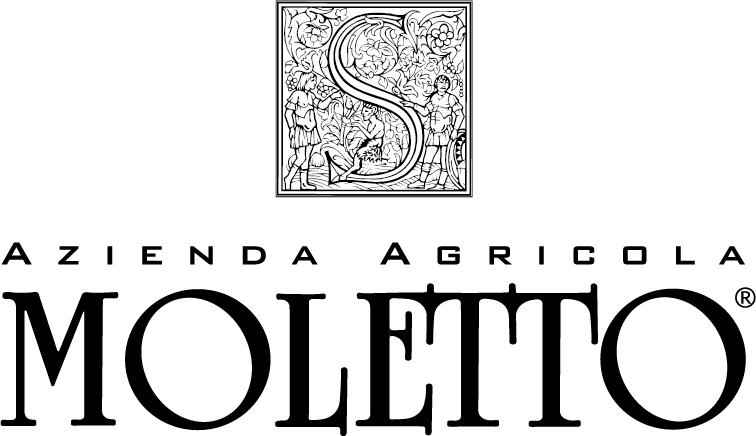 logo-moletto